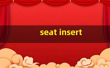 seat insert